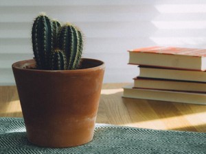 生理休暇を取ったら、体調不良で早退扱いに。気力が削り取られる