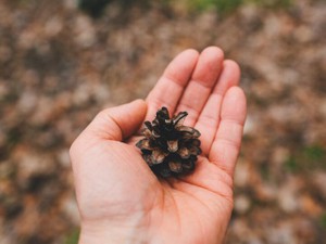 肉食を減らす私の行動は小さいけど、「エゴ」から「エコ」への一歩