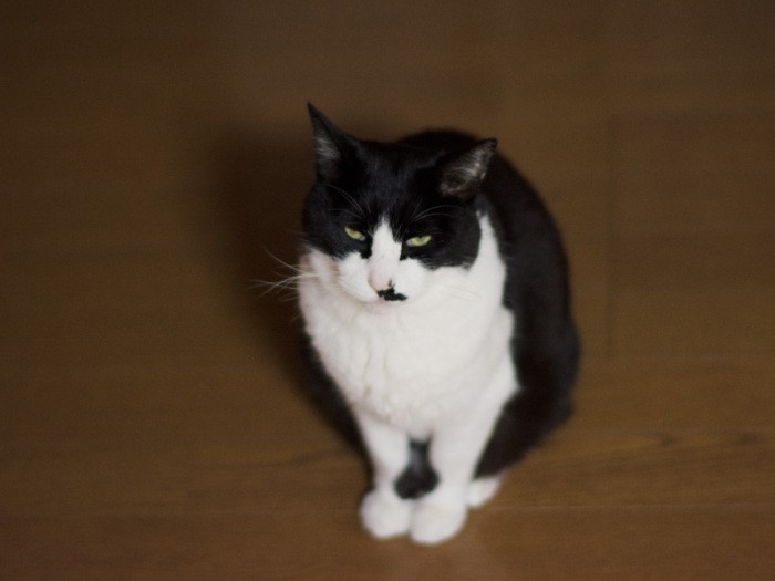 「冷蔵庫に入れといたシュークリームがなくなってるんだよな」（小林写函撮影）