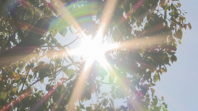 熱中症による労働災害防ぐため2025年6月から改正労働安全衛生規則が施行　事業者に事前の報告体制整備など義務付け
