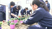 兵庫県の高校生と真備の高校生が交流　豪雨被災地を花で元気に　倉敷市