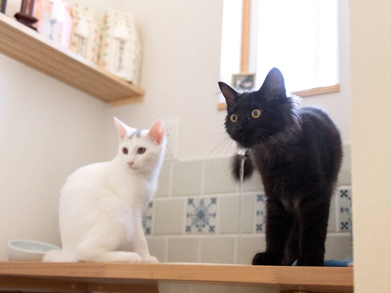 水もしたたる、いい男