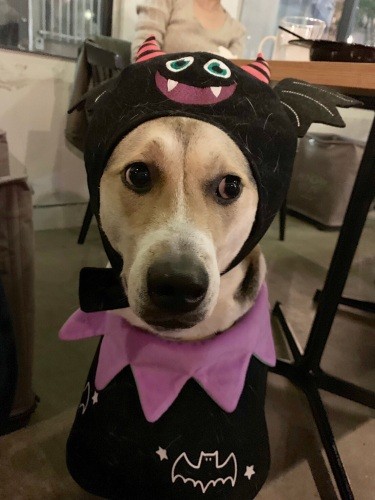 「独特な魅力があるって言われるんだ」（かずきさん提供）