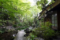 ６００坪の敷地には、大広間、中サイズの部屋が２室、宿泊や食事用の小部屋７室が点在しています