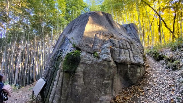 下半分が埋まっている様子や整形痕がよく分かる