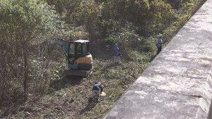 宮城・富谷市がクマ対策に３５００万円　クマの餌ブナの実が大凶作　河川のやぶを刈り取り侵入を防ぐ