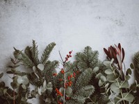 綺麗だけど残酷なクリスマス。結局私は「彼氏」が欲しかっただけ