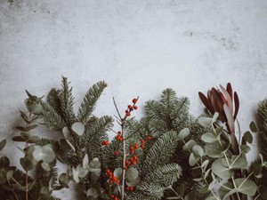 綺麗だけど残酷なクリスマス。結局私は「彼氏」が欲しかっただけ