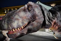 東京国立博物館によみがえったティラノサウルス