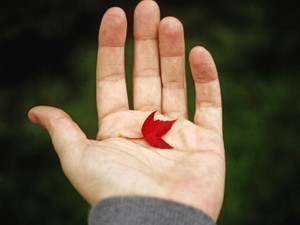 生きることは辛いこと。そう思っていた私を変えた、推しの一言