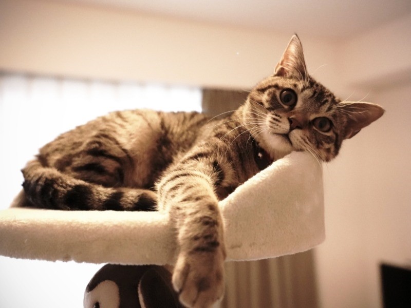 そのうち、一緒に寝てあげるね