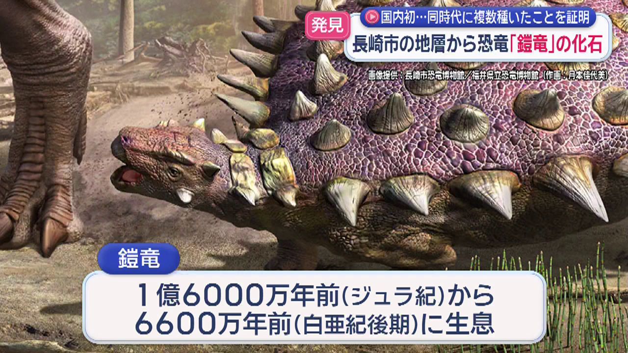 7875857ec191a2bdec9d38a446f6e6