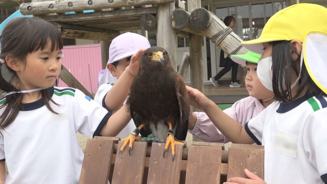 「羽がふわふわ」園児が動物たちと触れ合い　幼稚園に移動動物園　高松市