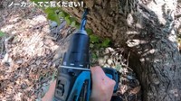 樹液を採取するため、クルミの木にドリルで穴をあける／ちーとん。さん提供