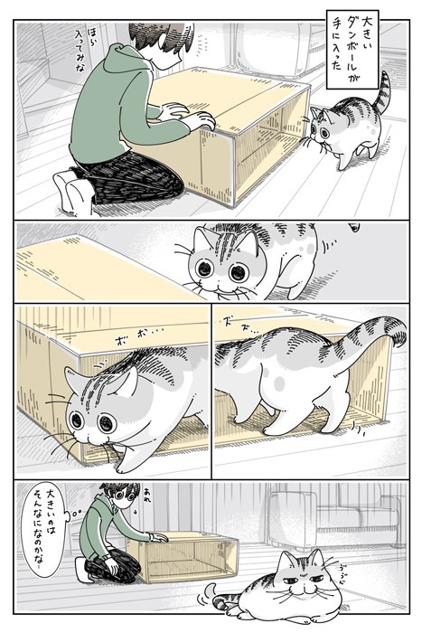 【漫画】「大きなダンボール」（提供：キュルZさん）