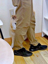 「次の方、ぱんくーん」  お父さんの後ろに隠れたぱんくん（画像提供：Greenさん）
