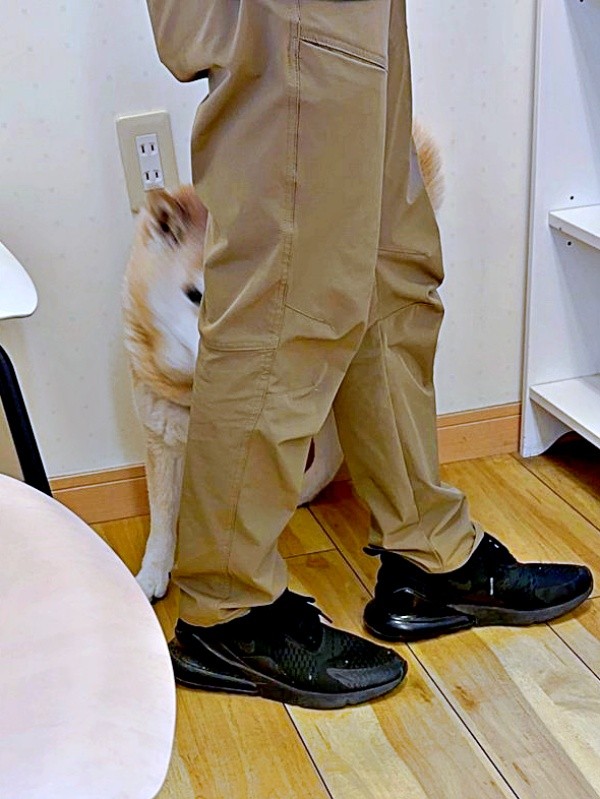 「次の方、ぱんくーん」  お父さんの後ろに隠れたぱんくん（画像提供：Greenさん）