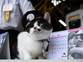 「ひと仕事してくっかにゃ～」　猫社員のつぶやきカレンダー販売