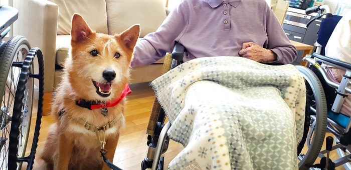 認定特定非営利活動法人「ペッツ・フォー・ライフ・ジャパン」。保護犬・猫の新しい飼い主探しの他に、高齢者施設や教育現場などを訪問するふれあい活動を兵庫県を中心に行う