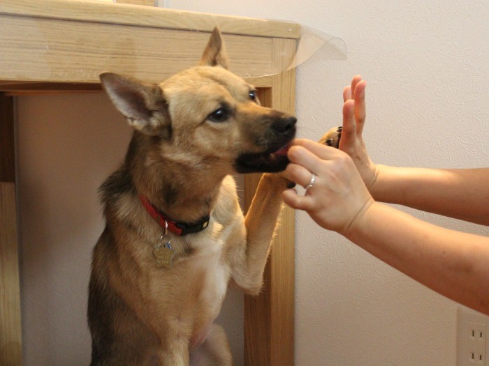 お母さん、大好き
