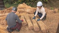 細川家住宅　さぬき市多和