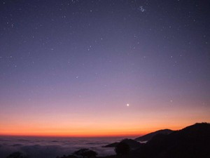 別に結婚していなくてもいいし、なんならパートナーは男性でなくてもいい