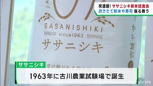 あっさりとした味わい　宮城生まれ「ササニシキ」　誕生６０周年イベント