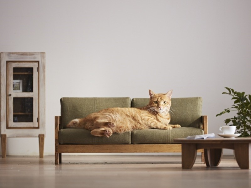 アンテイーク仕上げの「サンタフェ」でくつろぐ猫　（大川市提供）