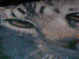 つまようじ１７万本で猫の顔　高校生がモザイクアート