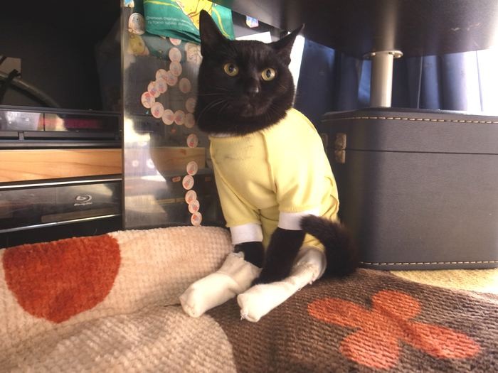 テーブルの下でかくれんぼ