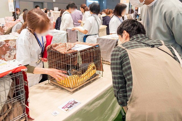 過去の開催の様子