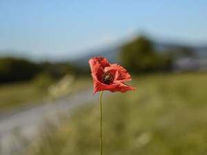 半袖半ズボンの体操服。周りと違う腕や足を晒すことがとんでもなく苦痛だった