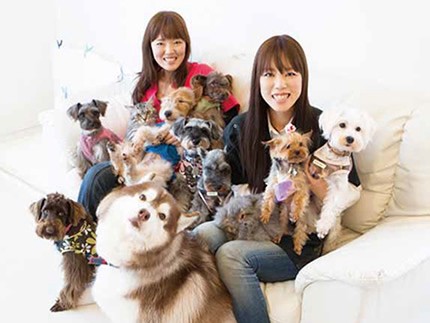 保護犬のために　私たちができること