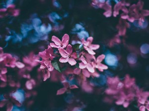 女性とデートしても「浮気は絶対にしない」と豪語する彼に感じる限界