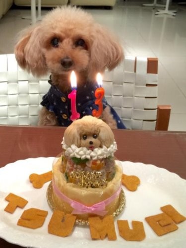 13歳の誕生会の時（舞坂さん提供）