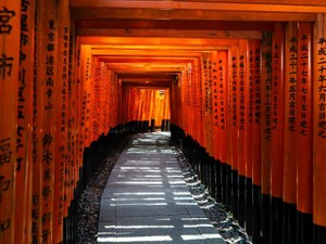 何も言わない街だと思う京都に、何者にもなれていない私は行く