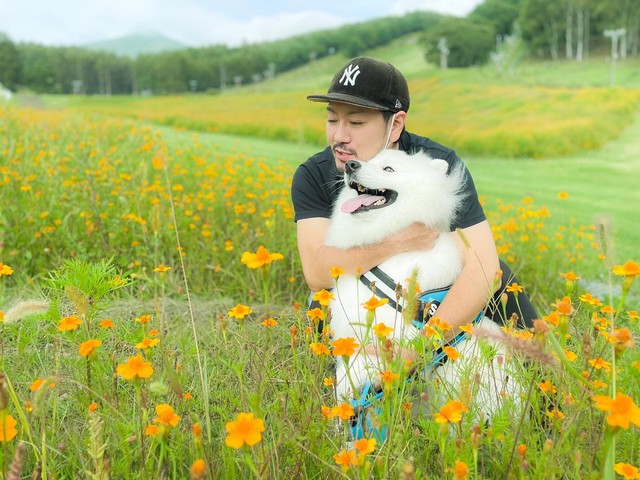 楽しいを全身で伝えてくれるソランちゃん＝サモエドのソラン soran the samoyedさん（@samoedsoran）提供