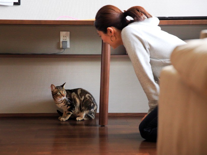 大丈夫だよーと説得中（この後も引きこもりは続いた）。