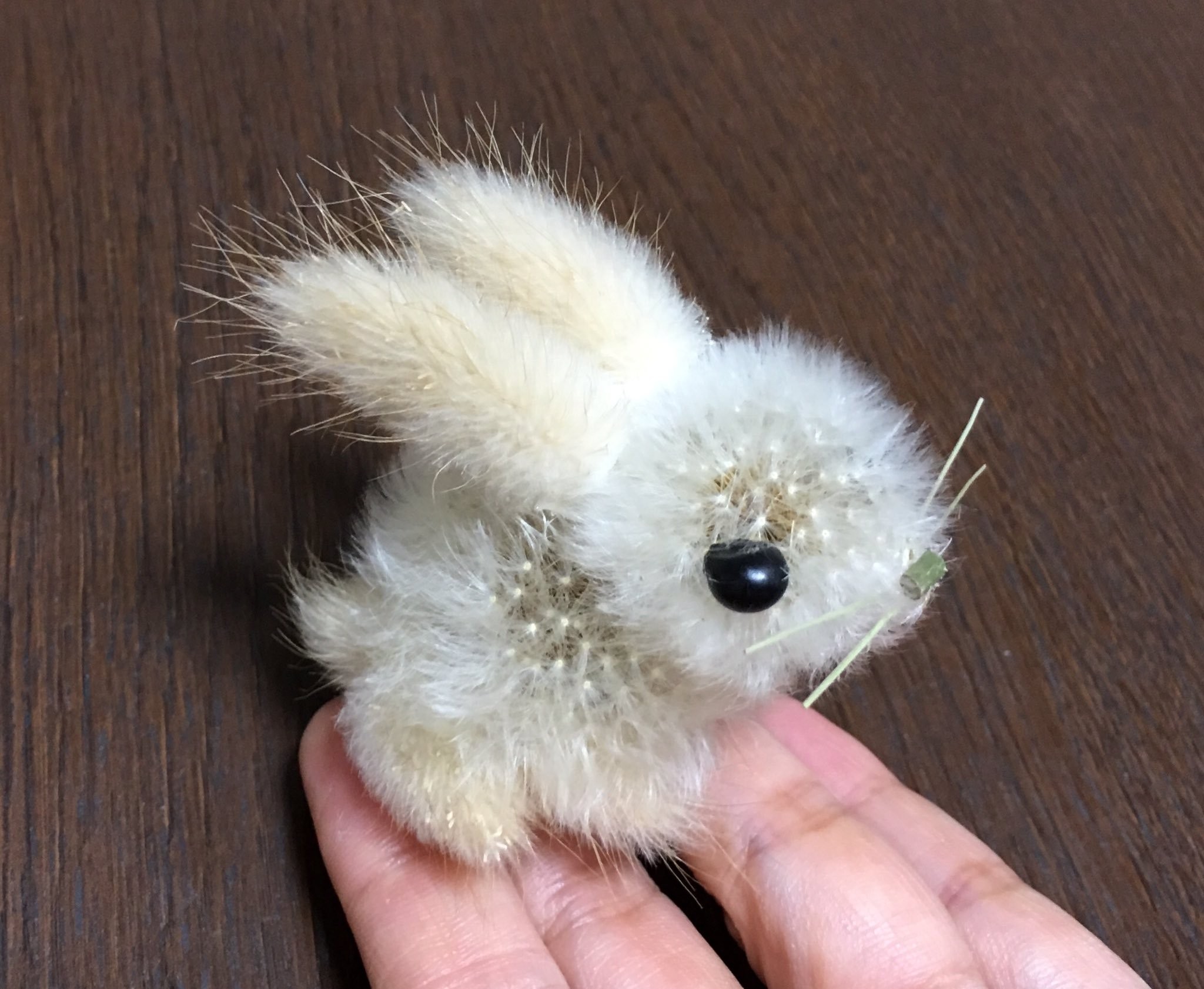 胸がキュンとなる」ふわふわウサギ 主婦がタンポポの綿毛で作っていた｜まいどなニュース