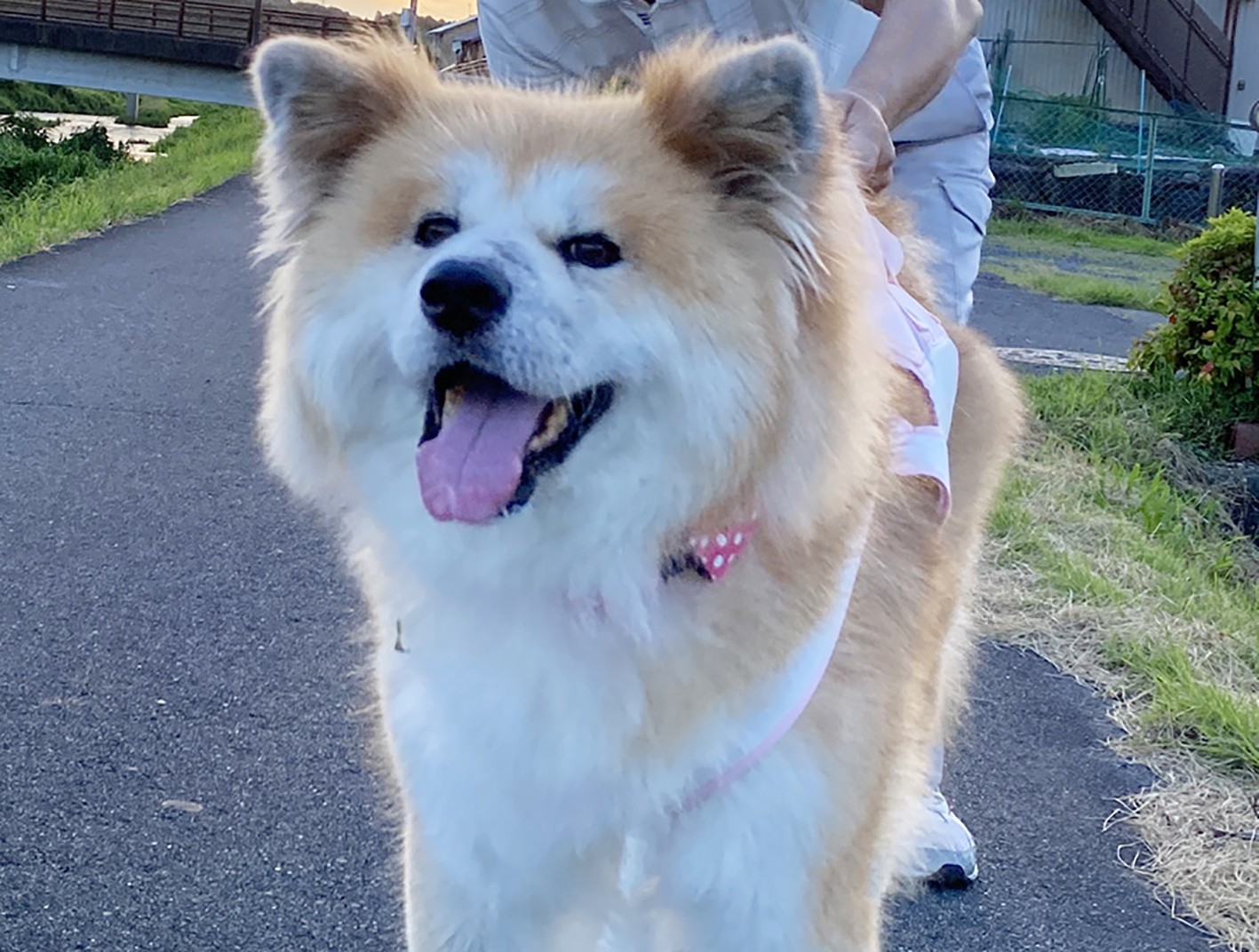 これらすべての知恵は多くの経験から来ています