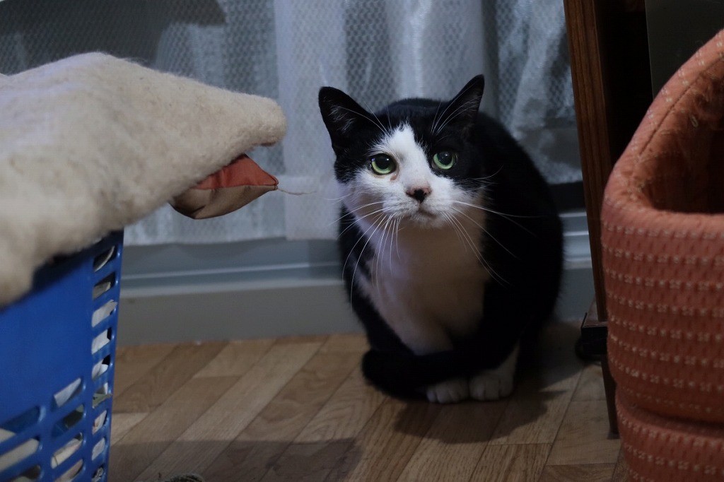 130f4d84e3e2550d59d7a9959f5007