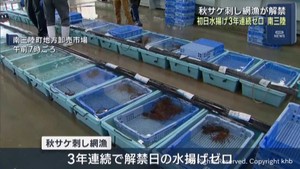 初日の水揚げは３年連続ゼロ　宮城県で秋サケの刺し網漁が解禁　不漁が続く　南三陸町