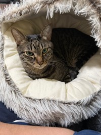 みんなに優しいシイタケちゃん【提供：ノビター（5匹家族）さん】