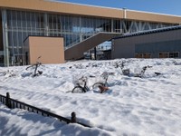 雪の中から顔をのぞかせたのは…（工藤健さん提供）