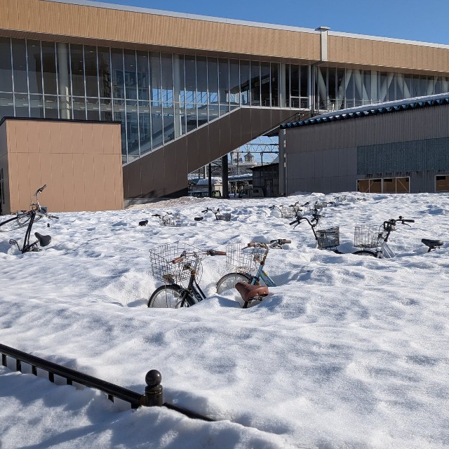 雪の中から顔をのぞかせたのは…（工藤健さん提供）