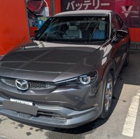 毎回、洗車には苦労するそう（タマンさん提供）