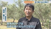 東洋オリーブ農園部長／向谷登さん