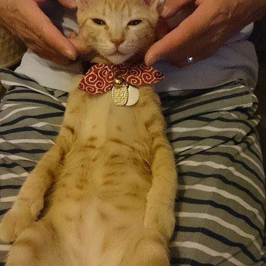 マッサージって最高！