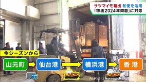 ２０２４年問題見据え船便を活用　宮城県産サツマイモを香港へ出荷