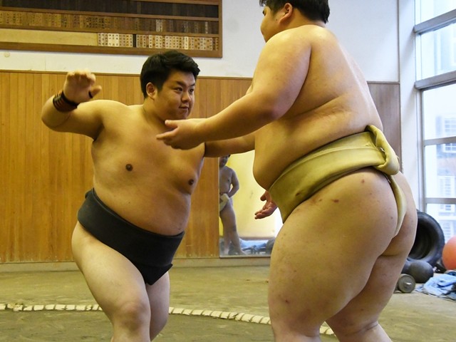 相撲 - 早大・川副楓馬が安治川部屋に入門へ「前に攻め続けて